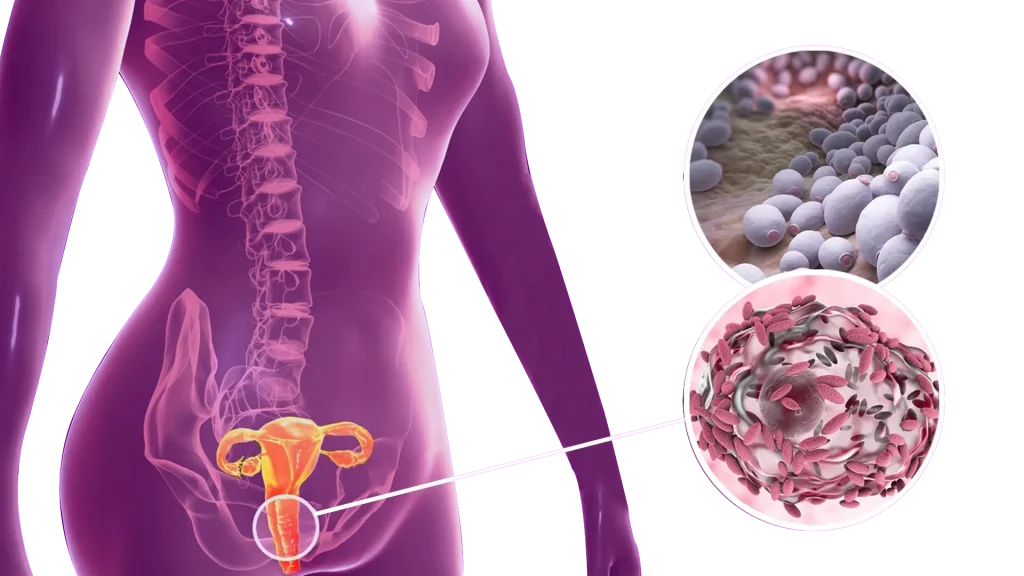 HITLAB and Cern Corporation Forge Strategic Partnership to Redefine Women’s Health Through Light-Based Innovation