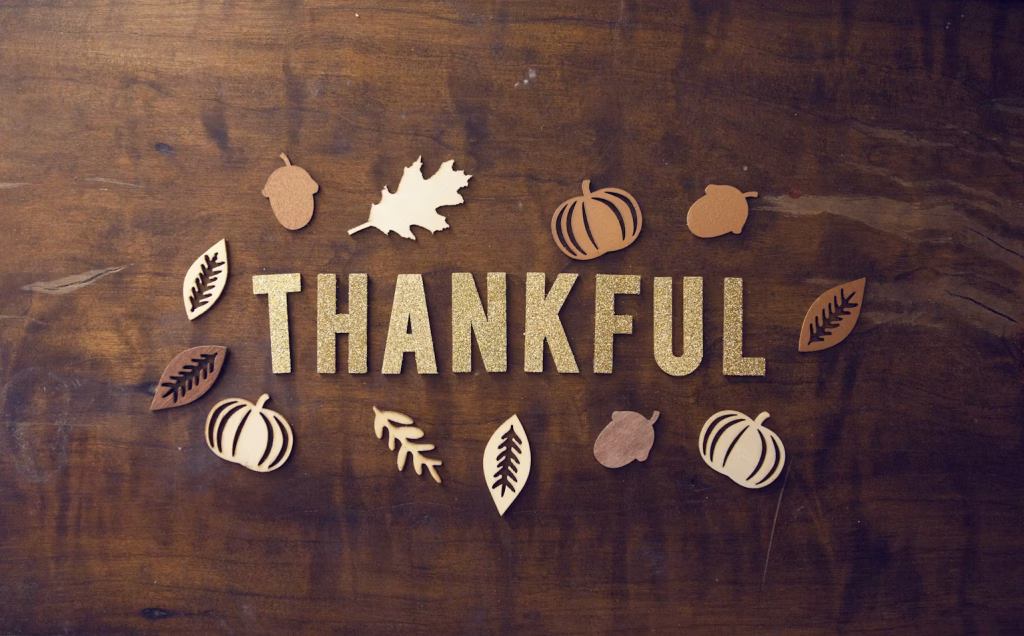 A Thanksgiving Note to the HITLAB Community