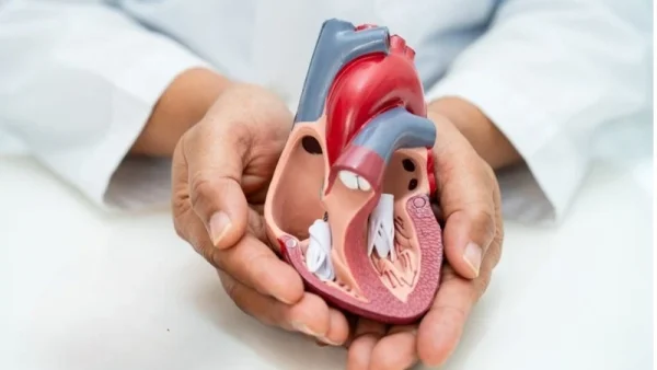 heart-image-octin