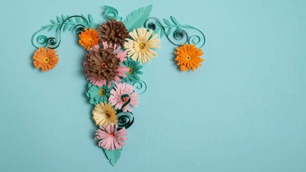 top-view-female-reproductive-system_52683-96504